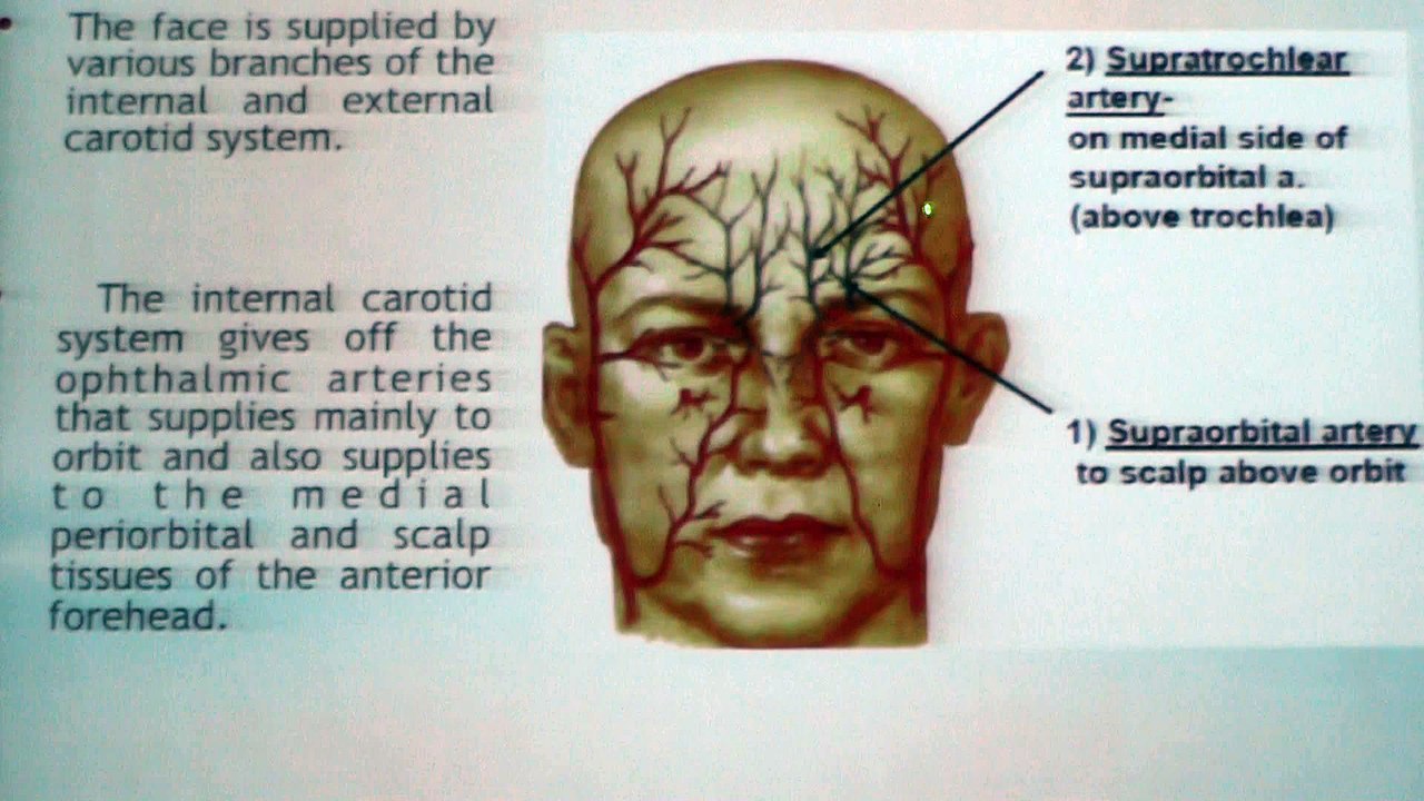 Dr Haroon nabi & Dr Mozzam N tarer Fillers work shop Part 7