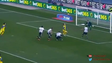 Alberto Paloschi Goal - Chievo vs Udinese 1 - 1 2015
