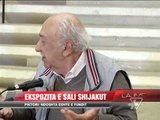 Ekspozita e Sali Shijakut - News, Lajme - Vizion Plus