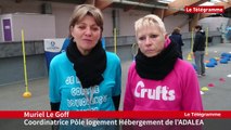 Yffiniac (22). 300 marcheurs contre les violences faites aux femmes