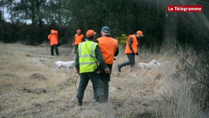 Vannes. Un dimanche à la chasse