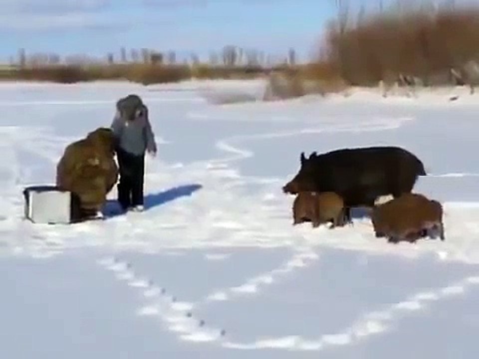 An unexpected meeting on fishing