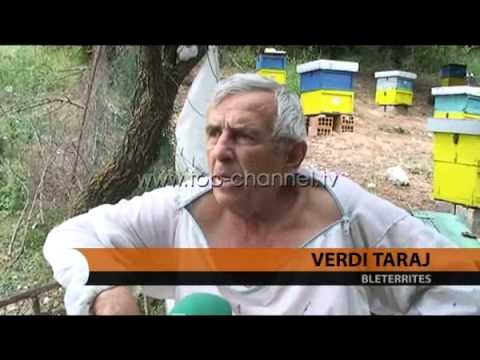 Bletërritësit kërkojnë mbështetje - Top Channel Albania - News - Lajme