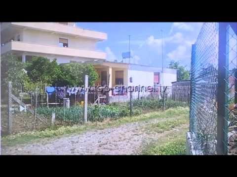 PD: Prokuroria të hetojë skemën e importimit të zgjedhësve - Top Channel Albania - News - Lajme