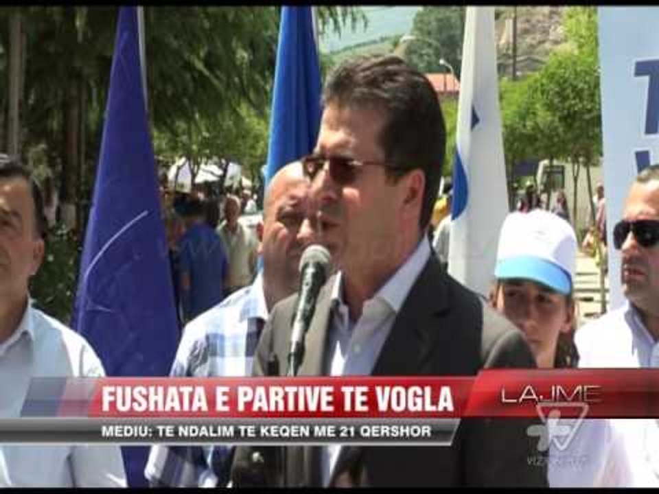 Fushata e partive te vogla - News, Lajme - Vizion Plus