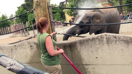 Paris to host decisive COP21 climate talks