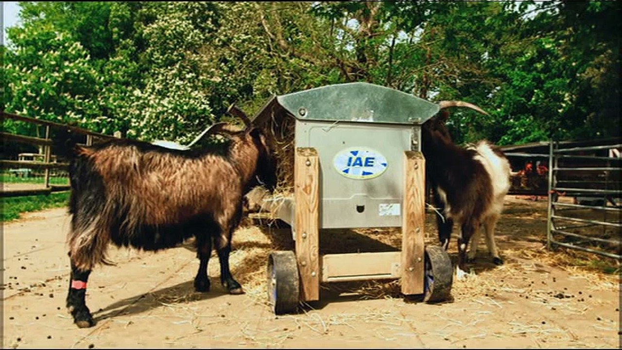 l'animal est une personne_FR3_2_2