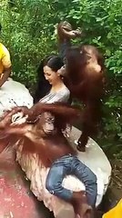 taking pictures with monkeys - not so easy