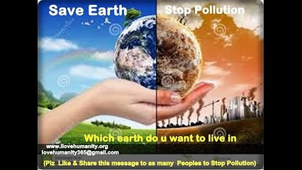 Pollution are causing a lot of damages