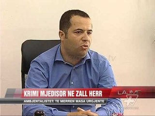 Download Video: “Krimi mjedisor” në Zall Herr - News, Lajme - Vizion Plus