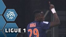 But Casimir NINGA (11ème) / Olympique Lyonnais - Montpellier Hérault SC - (2-4) - (OL-MHSC) / 2015-16