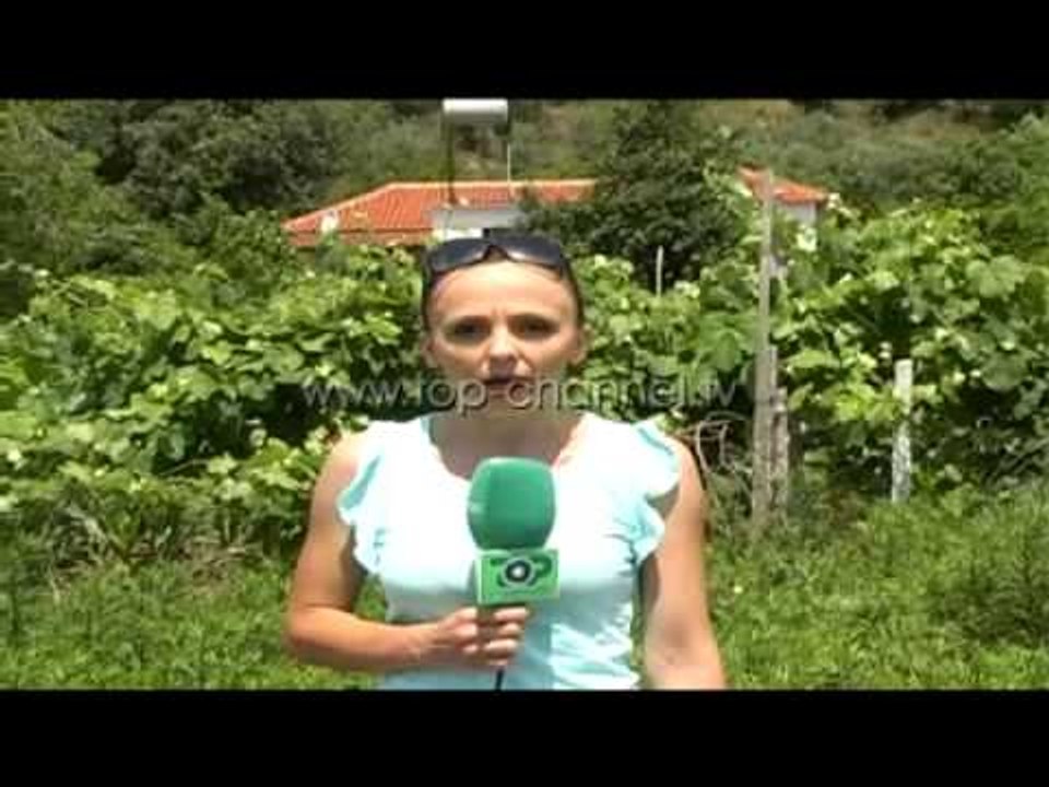 Tragjedia në Paulesh të Peqinit, flasin banorët e tronditur  - Top Channel Albania - News - Lajme