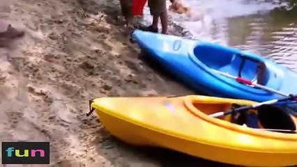 Try not to laugh or grin challenge Funny videos 2015 Funny pranks funny fails  part 1