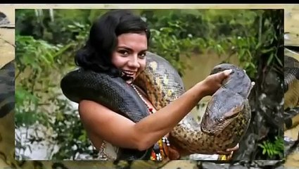 Biggest snake in the world ever recorded
