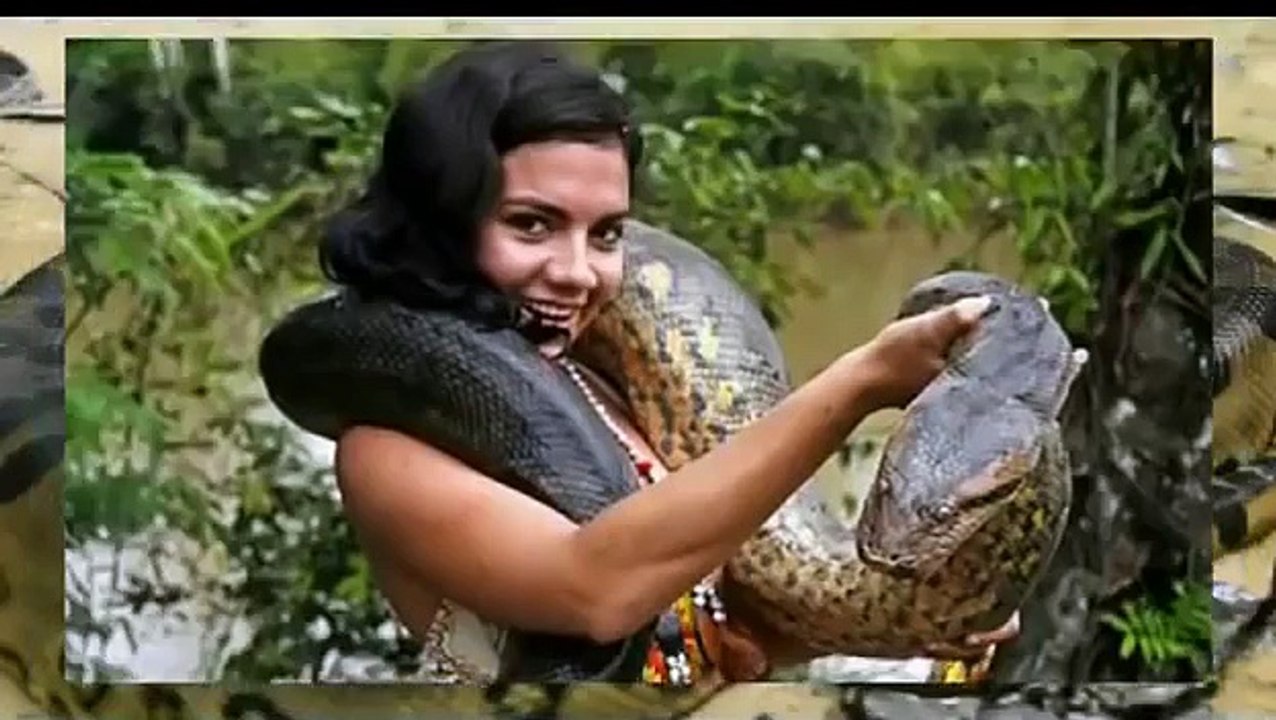Biggest snake in the world ever recorded