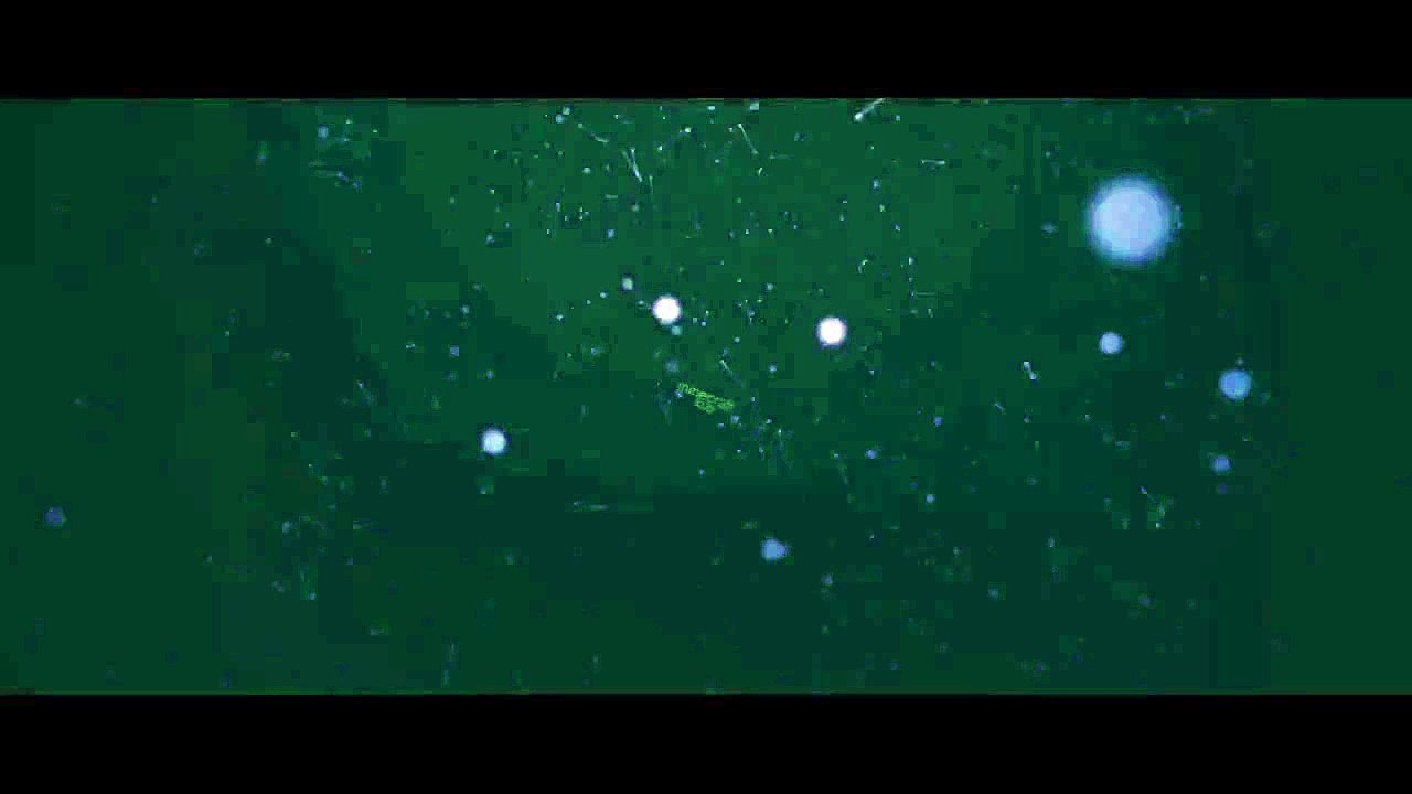 Meek Mill - Dream Chasers 2 Intro (Official Video)