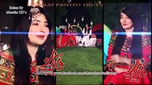 Gul-Panra--Hashmat-Sahar-Pashto-New-Song-2015-HD