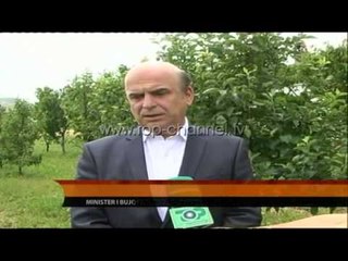 Shfarosja e karkalecit, nis dezinfektimi i tokave në Prrenjas - Top Channel Albania - News - Lajme