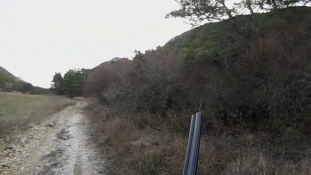 Chasse grive 2 tirs 2 grives