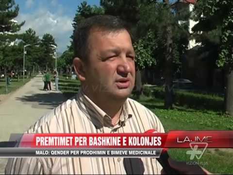 Premtimet për Bashkinë e Kolonjës - News, Lajme - Vizion Plus