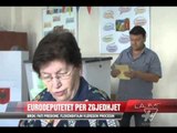 Komisioni i Jashtëm i PE për zgjedhjet - News, Lajme - Vizion Plus