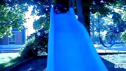 代わりに子供のブルドッグ。面白いブルドッグはジェットコースターに乗ります