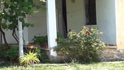 HORROR NE SHKODER, GRABITESIT I PRESIN VESHIN NJE TE MOSHUARI