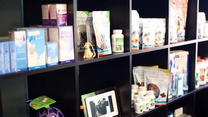 Eastown Vet Clinic: Therapy Laser Treatment