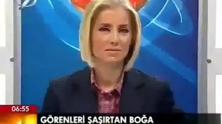 Video Galeri Haber7 haber7 com Güncel Haberler Son dakika haberleri