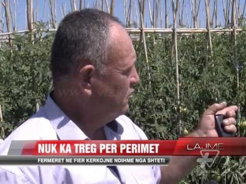 Nuk ka treg për perimet - News, Lajme - Vizion Plus