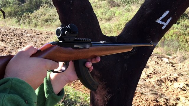 Ruger 10/22 com mira red dot Bushnell TRS-25