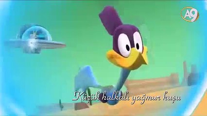 Küçük halkalı yağmur kuşu