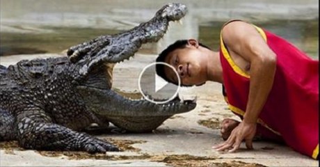 Thailand - Pattaya Crocodile Show Accident - People Try So Hard To Forget This