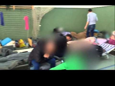 AZILANTET SHQIPTARE PERPLASEN ME ERITREASIT NE GJERMANI ARDIAN PACI EKSPOZITE NE HAMBURG LAJM