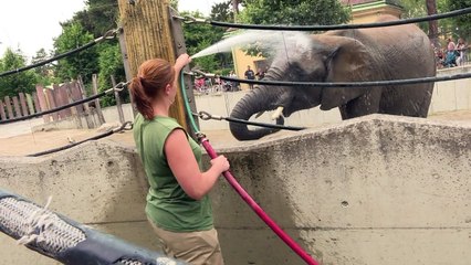 تحديات كبرى أمام قادة العالم في مؤتمر المناخ في باريس
