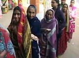 Vadodara Collector at swaraj polls in Gujarat