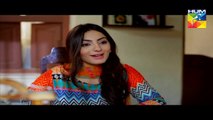 Tere Mere Beech Episode 01 Full Hum TV Drama 29 Nov 2015