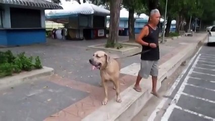 Вот это материнский инстинкт