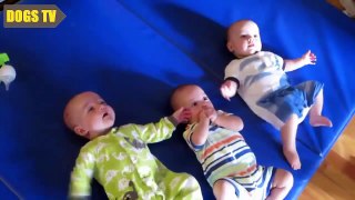 Funny Triplet Babies Laughing Compilation 2015 , # 40