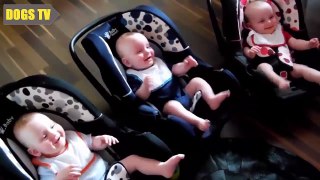 Funny Triplet Babies Laughing Compilation 2015 , # 41