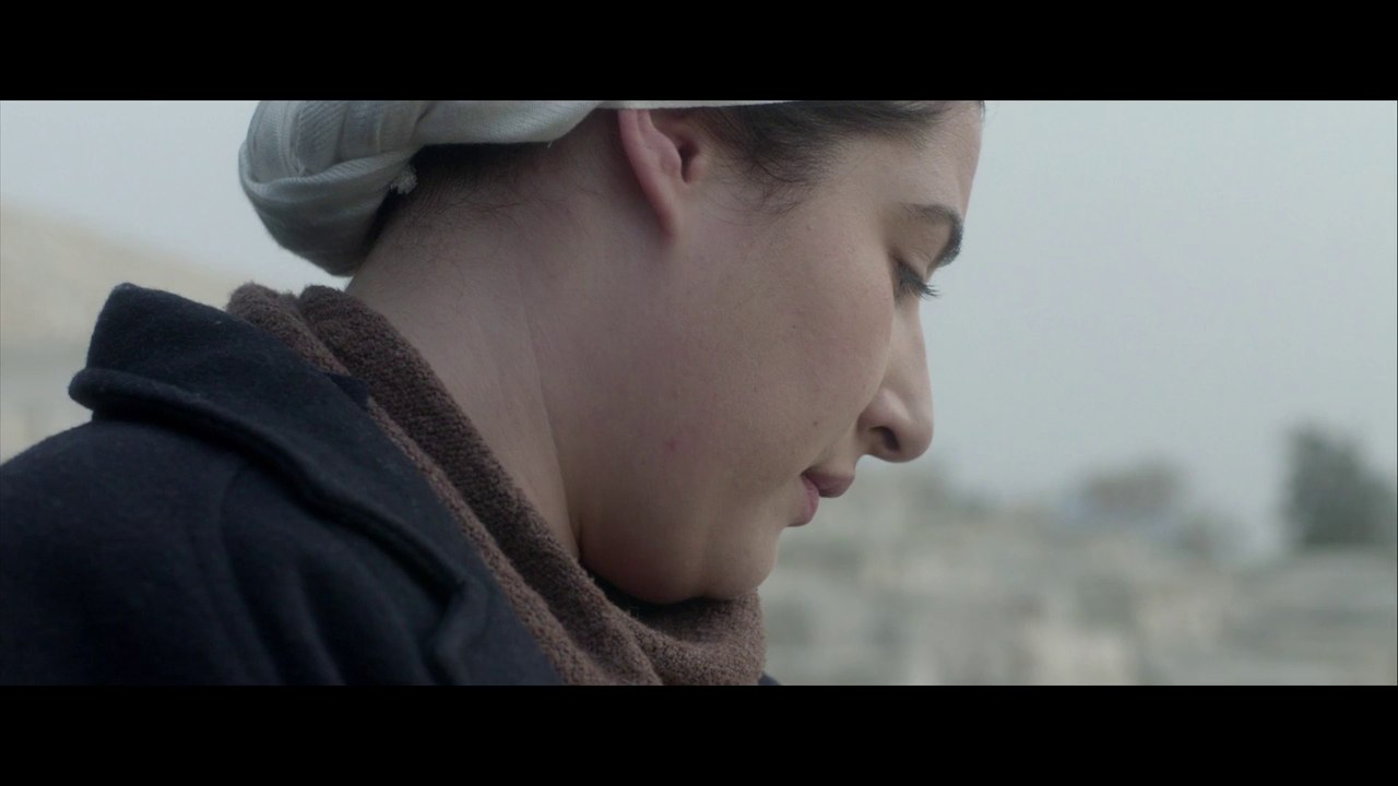 Fest Track On Sirk TV: MOUNTAIN [AFI FEST 2015]