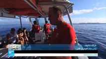 مئات السياح في جزر بولينيزيا الفرنسية لرؤية الحيتان وهي تضع صغارها