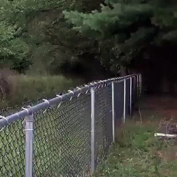 Funny Videos : Jump Fail