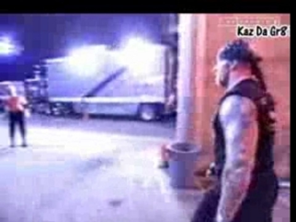 Undertaker & Shane Taken Out