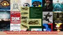 Read  286 FullColor Animal Illustrations From Jardines Naturalists Library Dover Pictorial EBooks Online