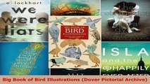 Download  Big Book of Bird Illustrations Dover Pictorial Archive PDF Free