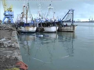 MBYTET ANIJA QENDRONTE PREJ VITESH E AMORTIZUAR NE PORT LAJM