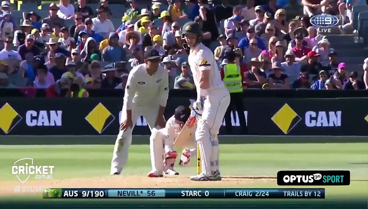 cricketcomau-Stumps Day-night video hd cricket