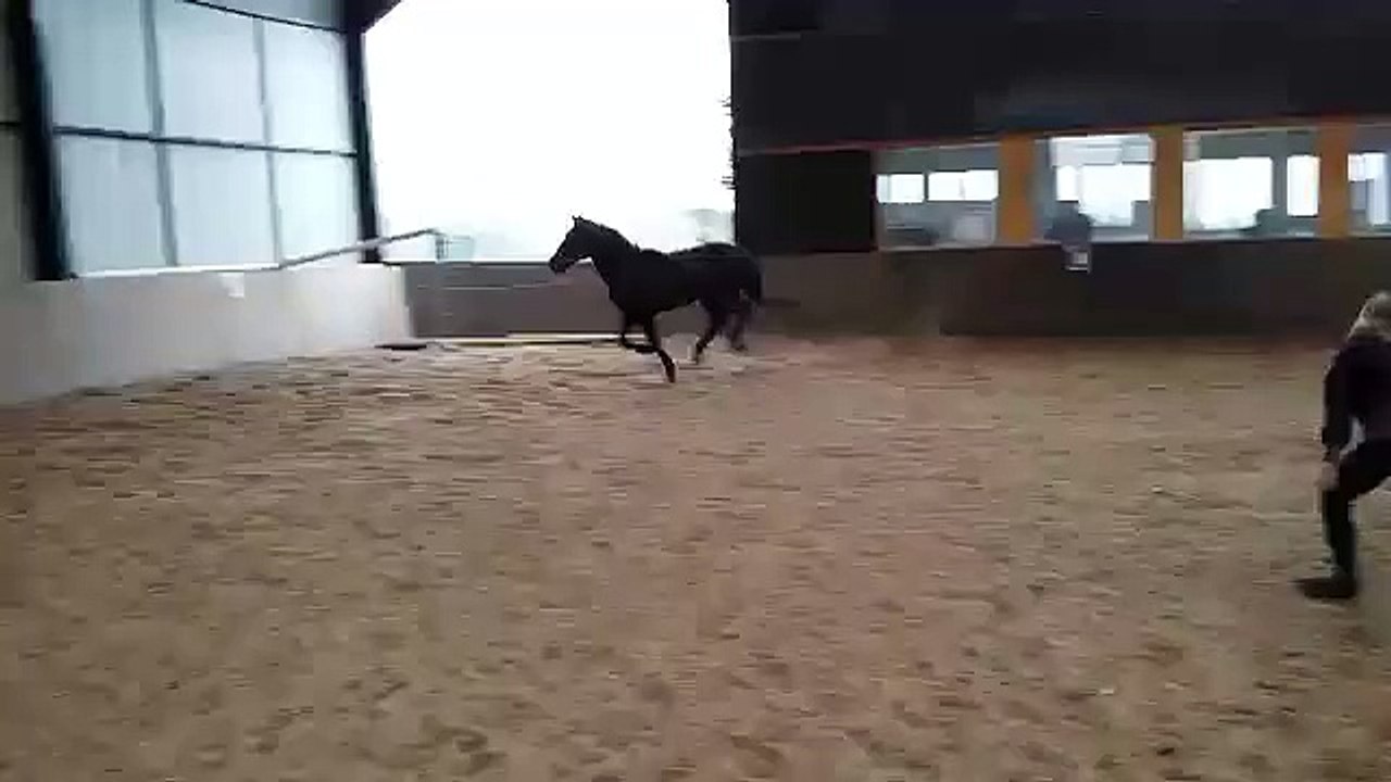 video-1448888837.mp4