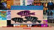 PDF Download  Gyotaku Fish Impressions The Art of Japanese Fish Printing Download Online
